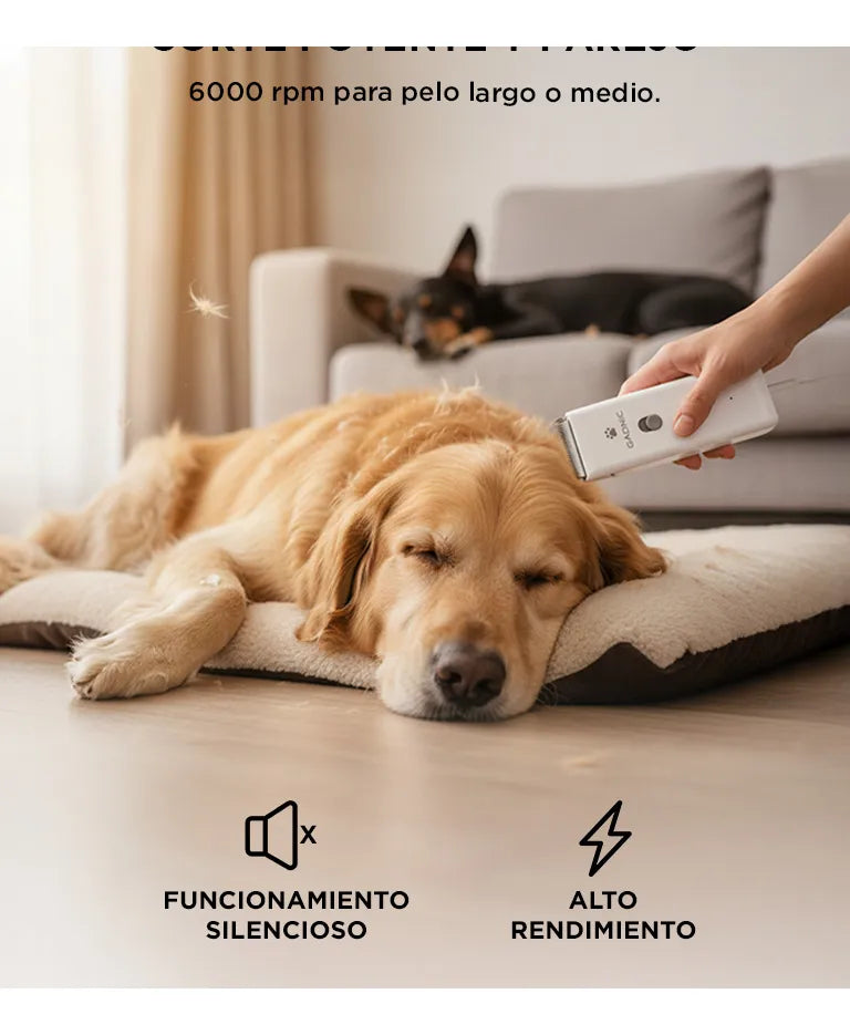 Peladora Canina Inalambrica + Kit Completo De Aseo Blanco Negro